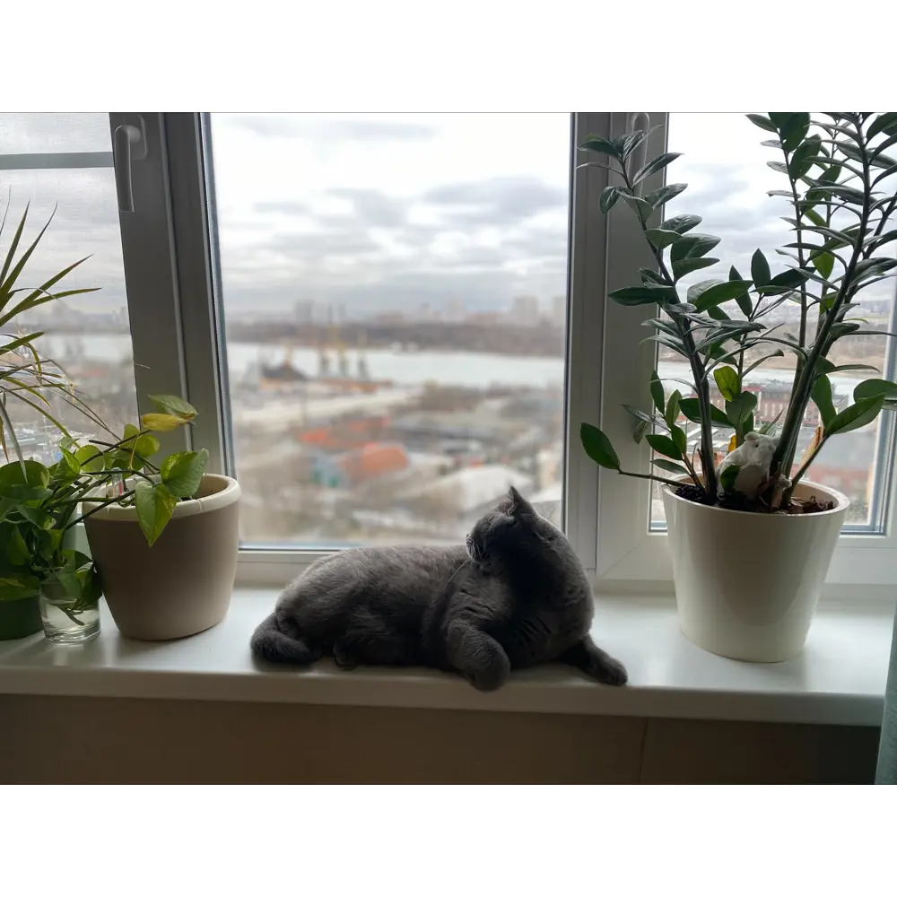 Горшок цветочный с автополивом Ingreen ø16 h18.6 см v2 л пластик бежевый Munchen STLM-2039834 - Вид №5