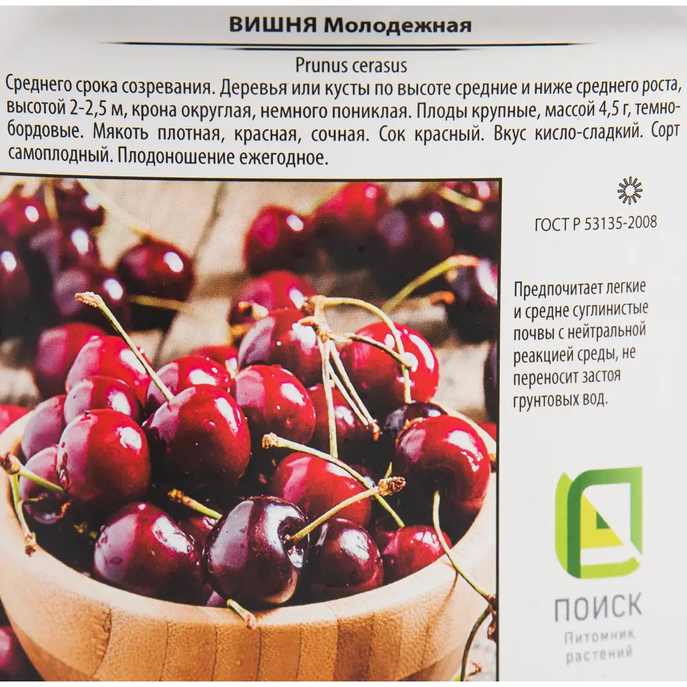 Вишня «Молодежная» 25x130 см 82585394 STLM-2112614 Santreyd  - Вид №1
