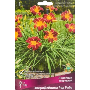 Лилейник гибридный ЭвериДейлили Ред Рибз 86410476 STLM-2052329