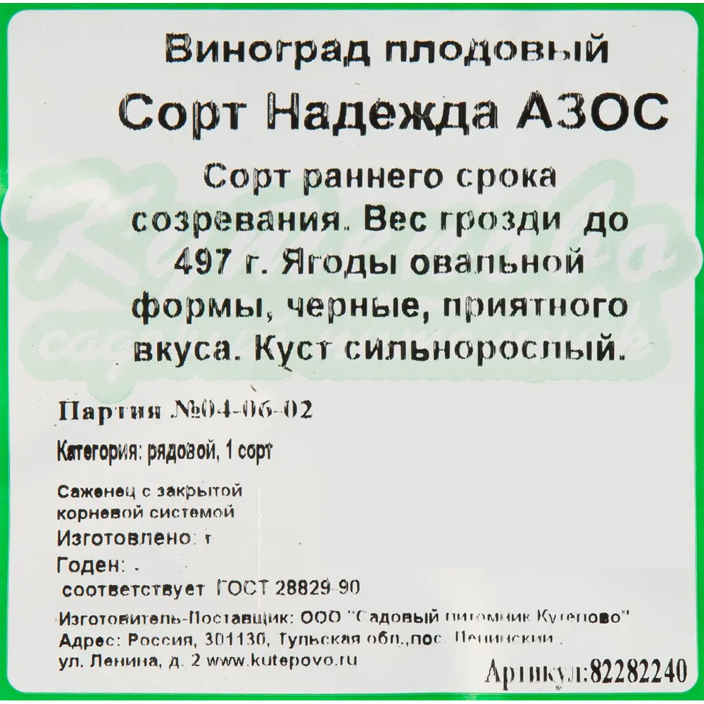 Виноград плодовый «Надежда Азос» С2 50 см 82282240 STLM-2118238 Santreyd  - Вид №3