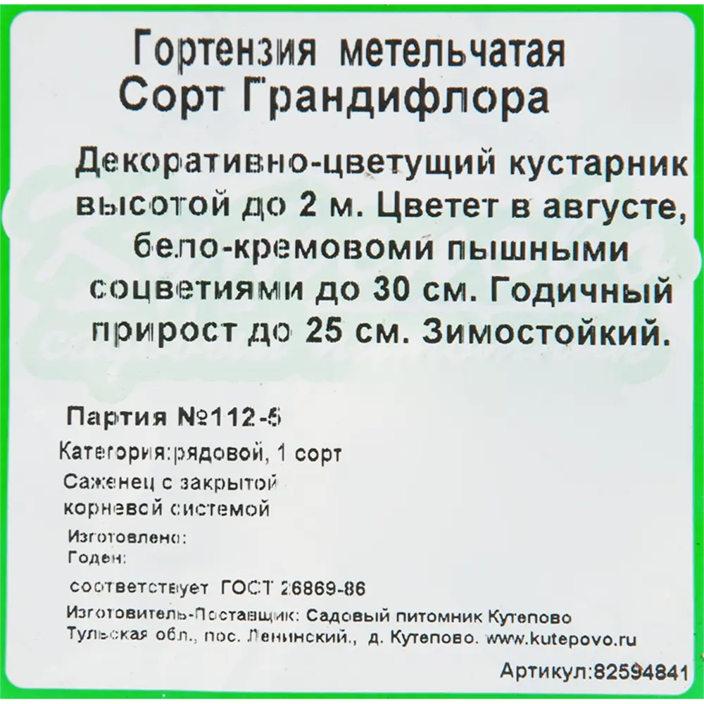 Гортензия метельчатая «грандифлора» 15x20 см 82594841 STLM-2066149 Santreyd  - Вид №2