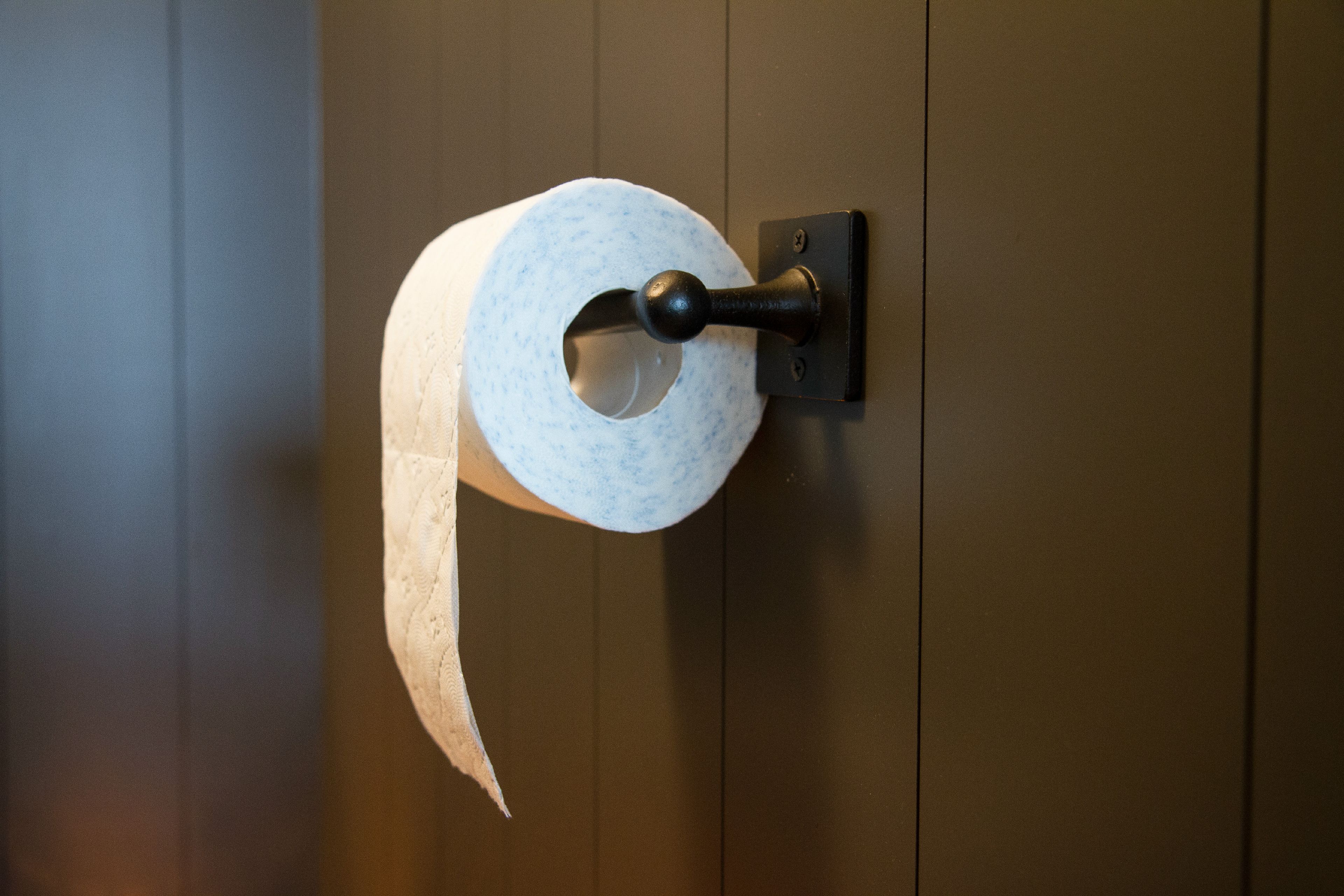 Железный держатель рулона Dauby Pure® Plus ARCH-00106590 - Вид №1