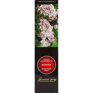 Сирень обыкновенная Мулатка в тубе Поиск Инвест 82527877 STLM-2012261