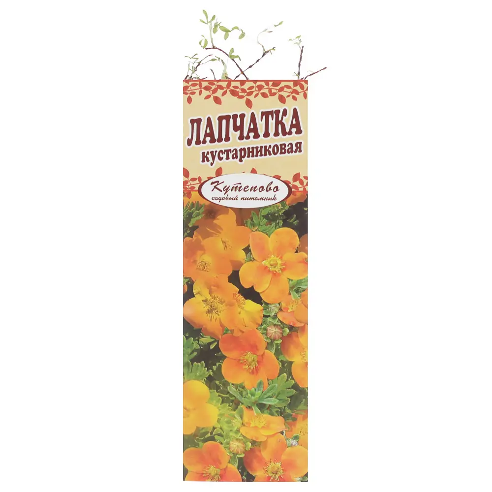 Лапчатка оранжевая Tangerin, в коробке 81959711 STLM-2143500 Santreyd 