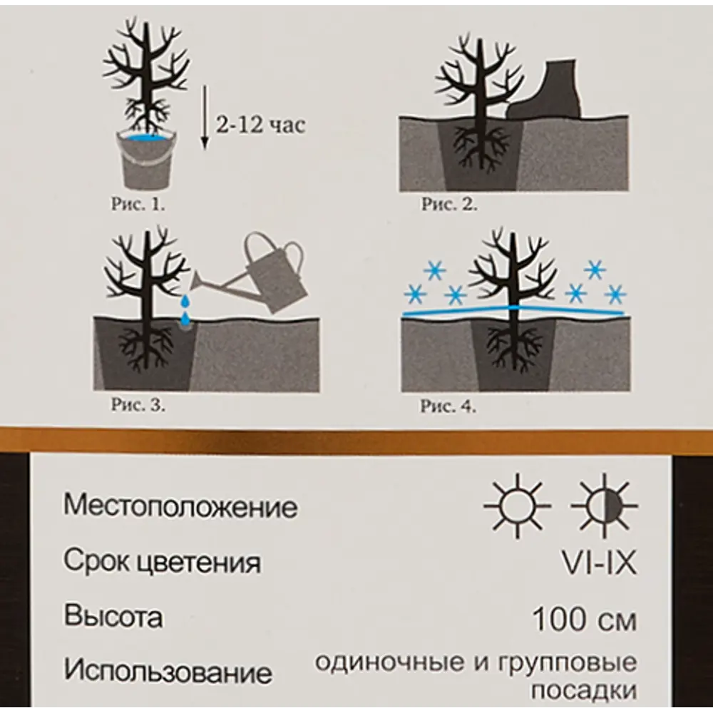 Гортензия крупнолистовая Ю энд ми Принцесса Диана Люкс ø9 h39 см 83738717 STLM-2021803 Santreyd  - Вид №3