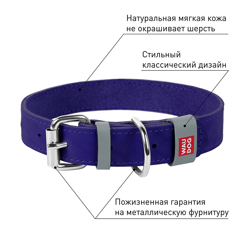 ПР0053717 Ошейник для собак Waudog Classic кожа, металлическая пряжка (шир.12мм, дл.21-29см) фиолетовый COLLAR  - Вид №2