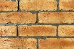 Арагон 1-20-05 Zikkurat 12005