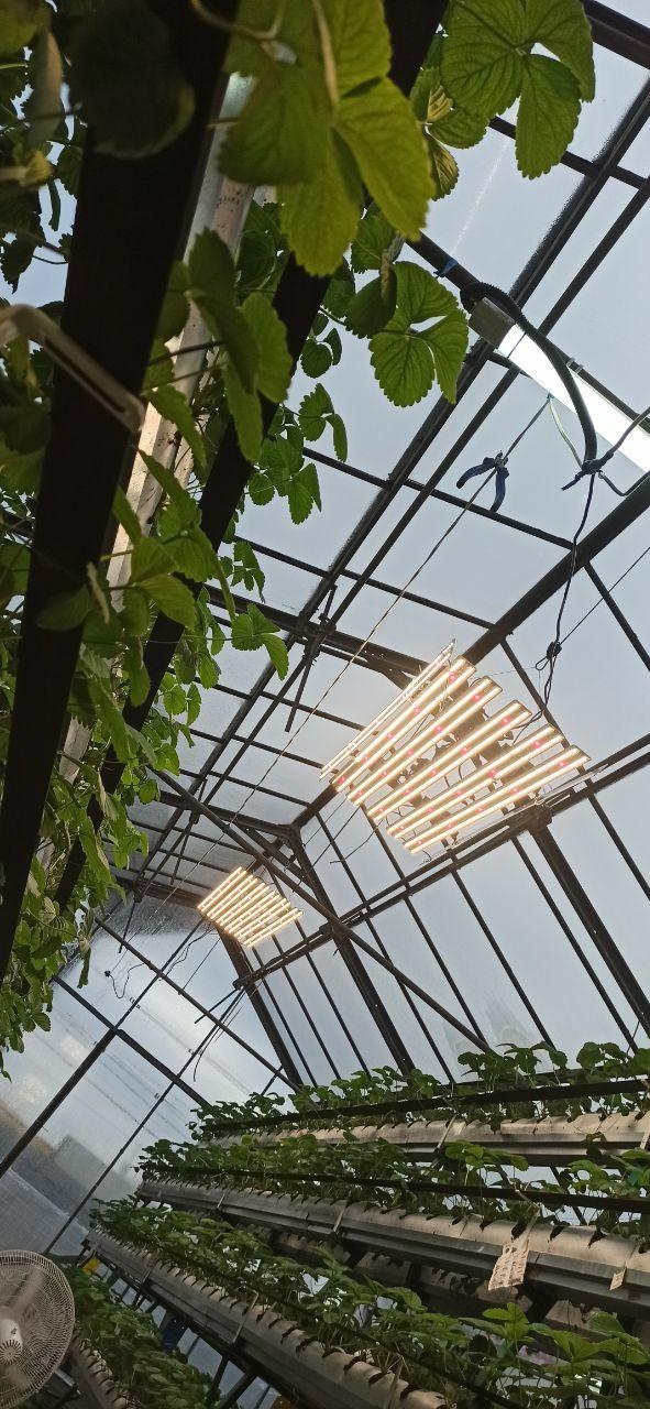 3543 Комплект Quantum line 115 см LAB.Space  - Вид №3