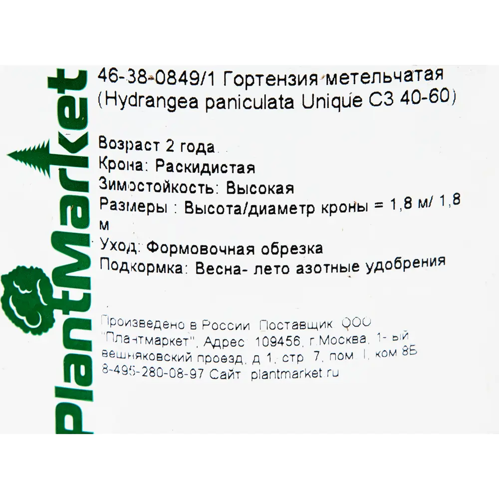 Гортензия метельчатая «Юник» C3 40-60 см 82356731 STLM-2130382 PLANTMARKET  - Вид №1