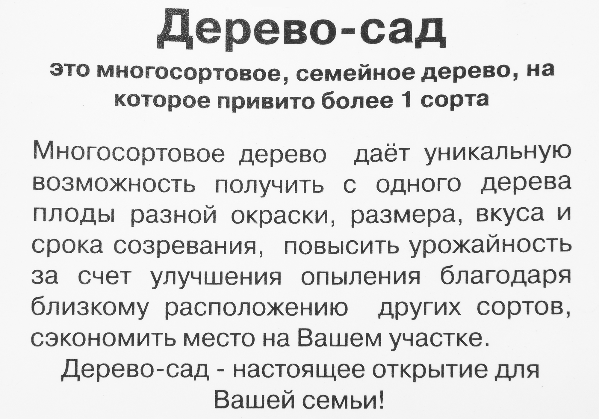 Santreyd Яблоня-сад 2-3 года с разносортными прививками 82585382 STLM-0030719 - Вид №1
