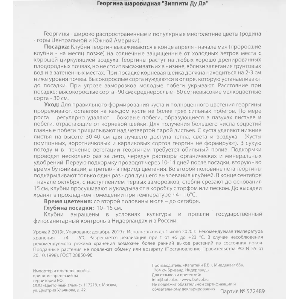Георгина шаровидная «Зиппити Ду Да» 82539296 STLM-2081628 Santreyd  - Вид №2