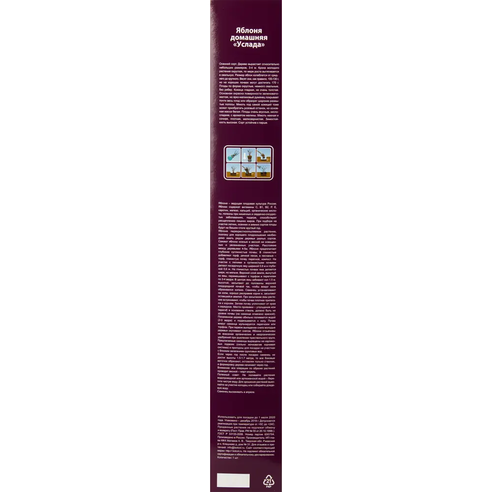 Яблоня Услада в тубе 82539474 STLM-2030371 BOTANIC COLLECTION  - Вид №2