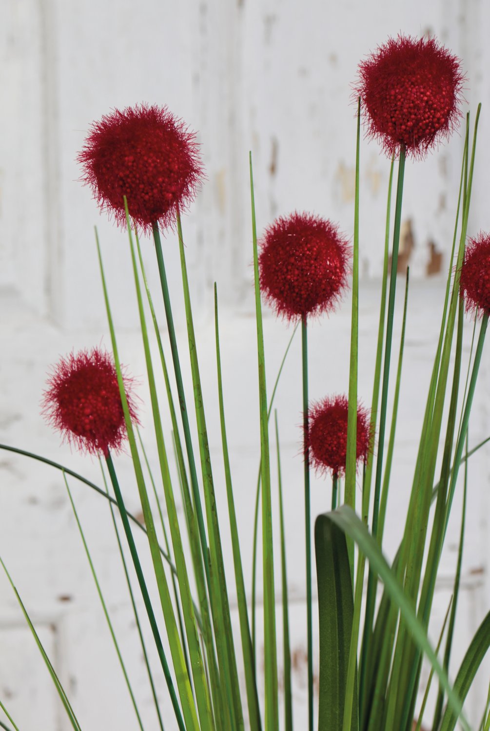 4945 444 a3 Мяч из искусственной травы, 75 см, красный H-andreas  - Вид №4