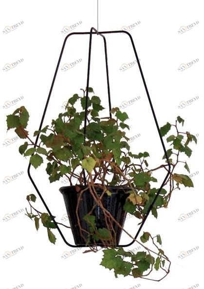 Compagnie Подвесной горшок sun-id-1383729