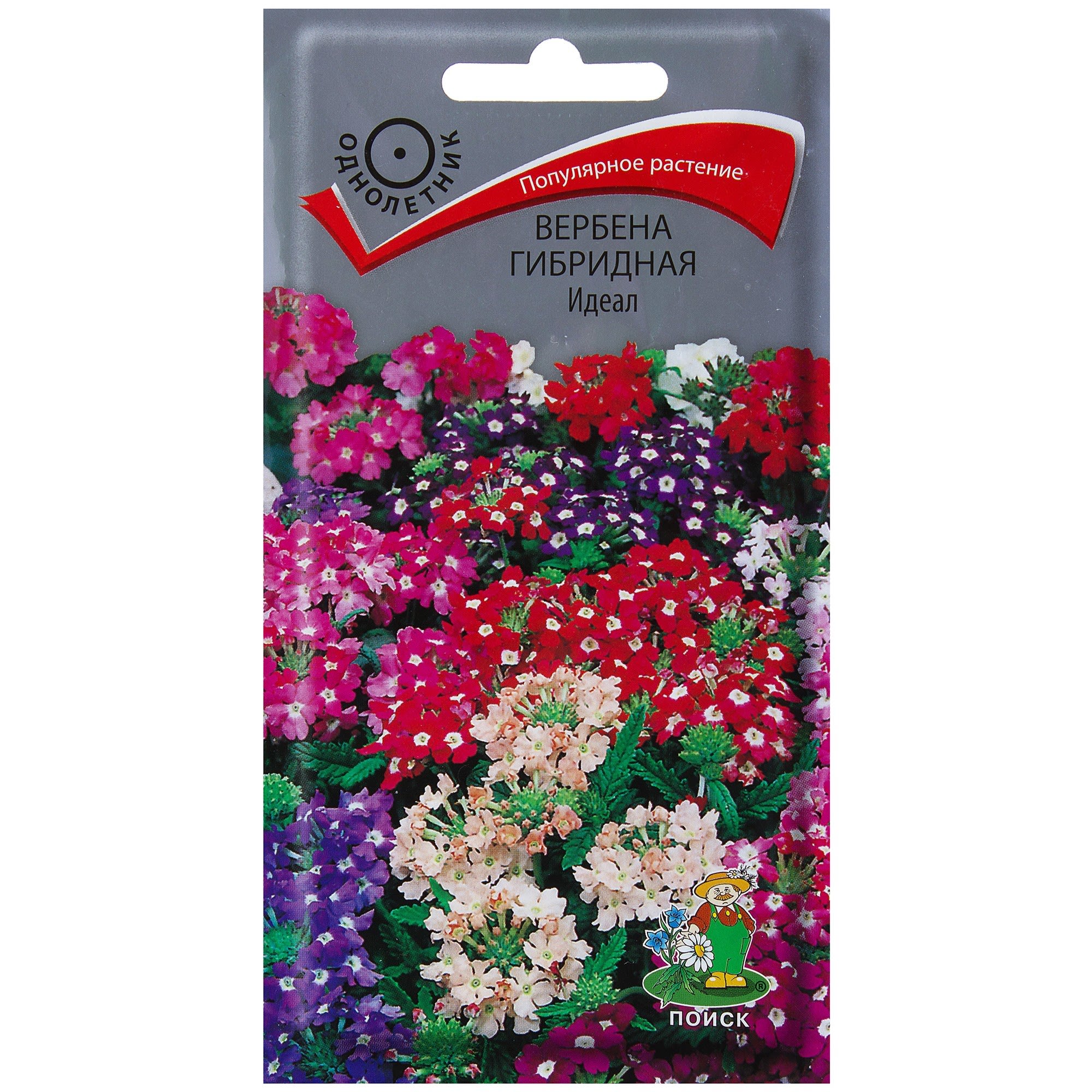 17229565 Вербена гибридная «Идеал» Santreyd 