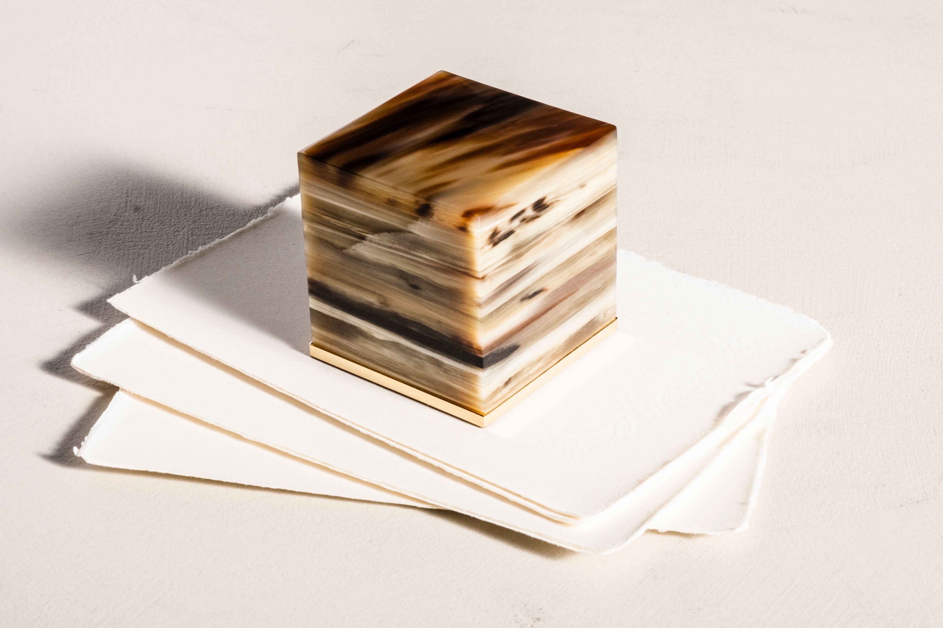 Пресс-папье из рога и латуни Zanchi 1952 PZHBS01BVNK ARCH-00062664 - Вид №1