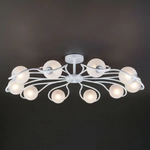 Потолочная люстра Eurosvet Camomile 70089/10 белый с серебром EUROSVET ДИЗАЙНЕРСКИЕ, CAMOMILE 184434 Белый