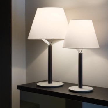 005088 Настольная лампа Carpyen Gilda Santreyd - Вид №2