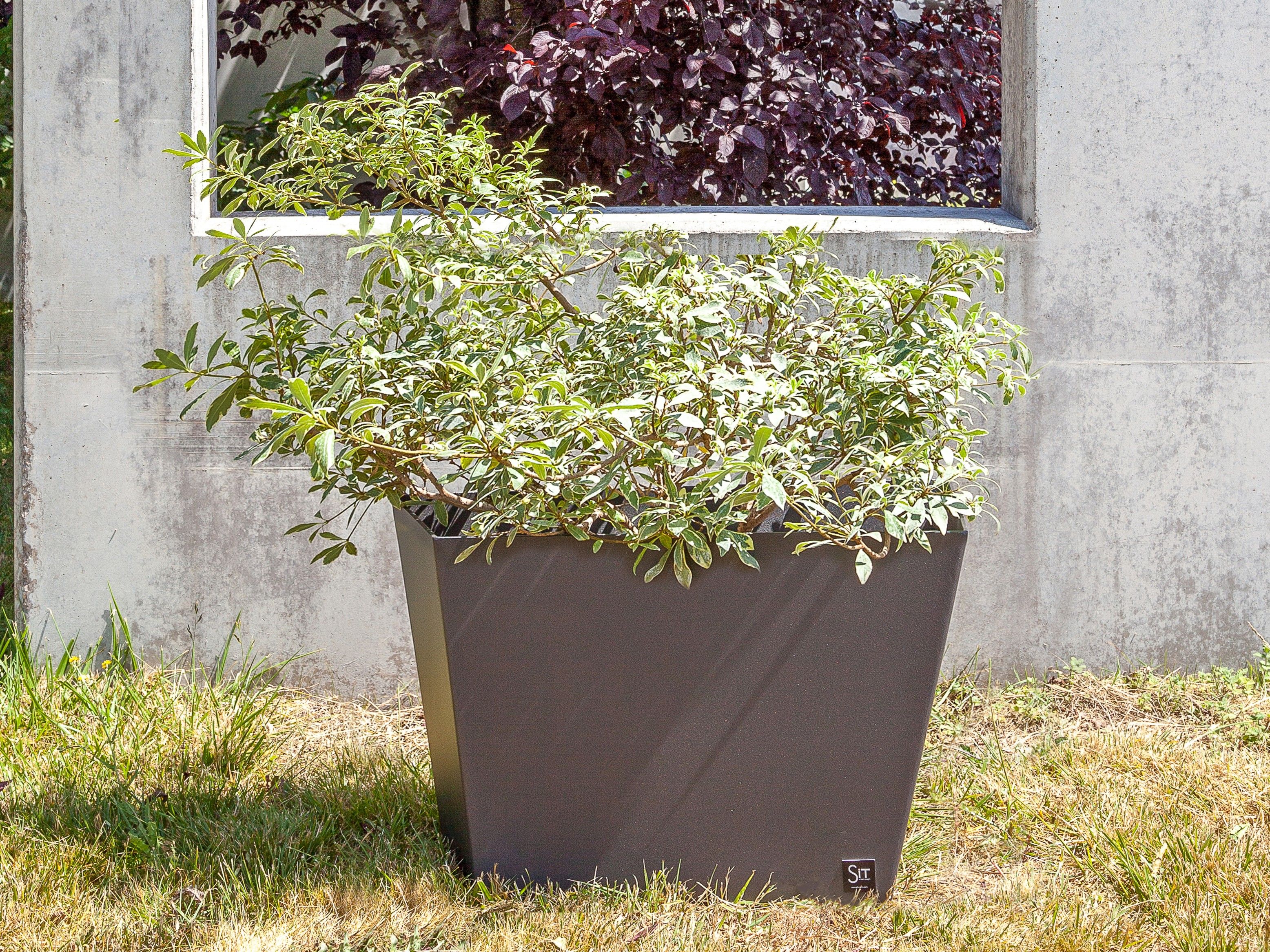 Железная плантатор SIT Skew ARCH-00139665