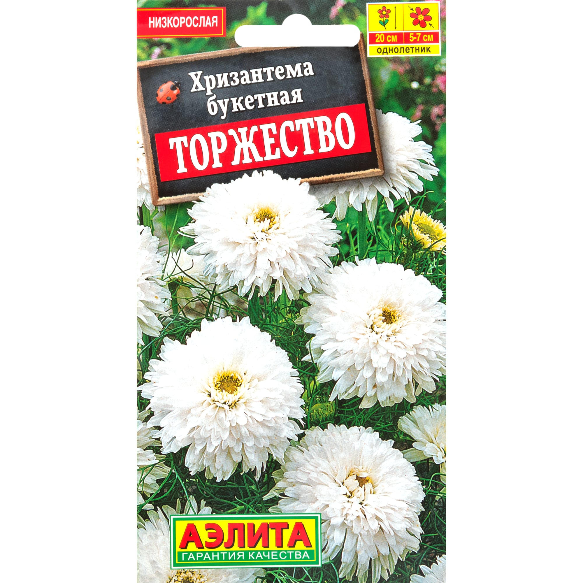 83495465 Семена Хризантема букетная «Торжество» Santreyd 