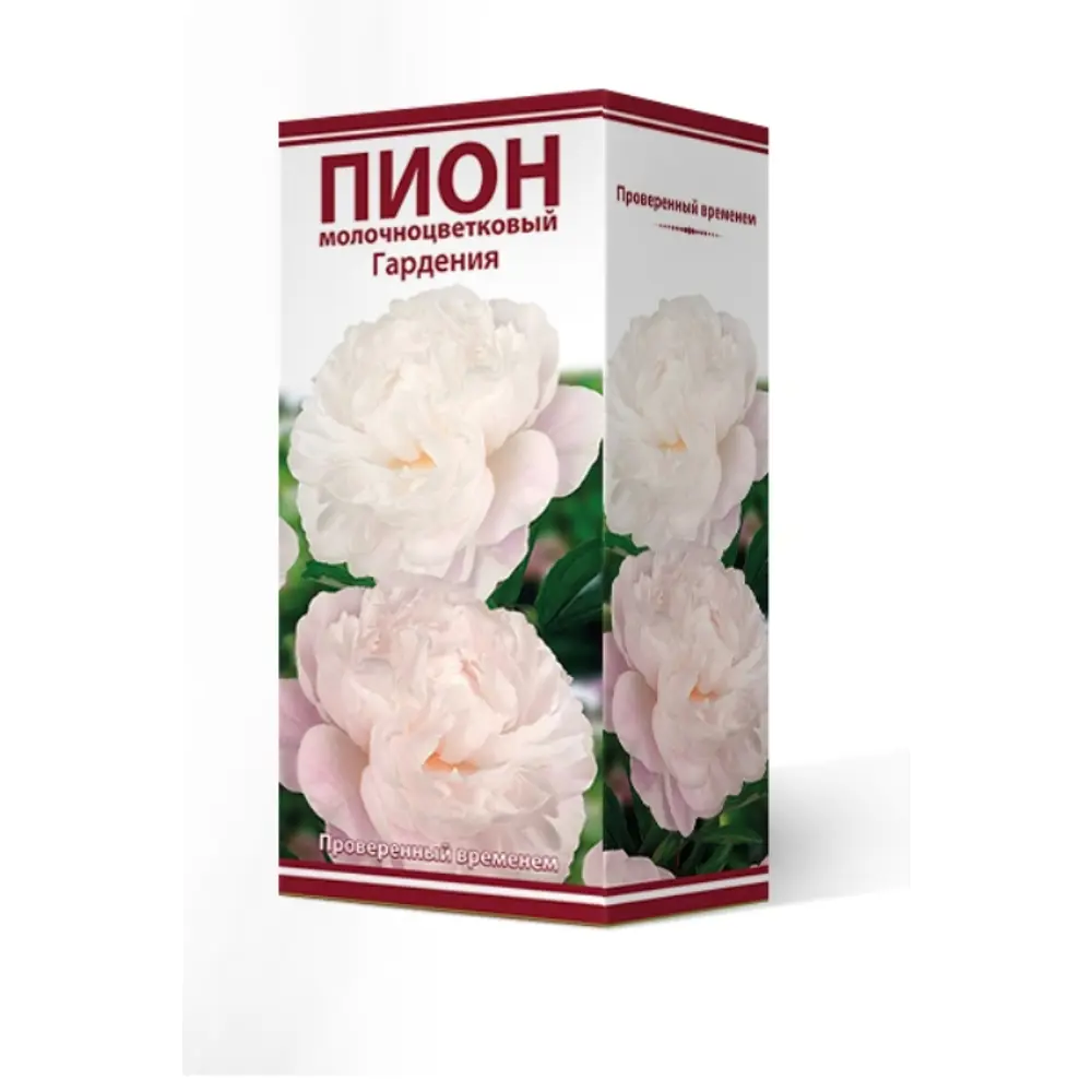 Пион травянистый Гардения луковица 2-3 83600100 STLM-2033268 Santreyd 
