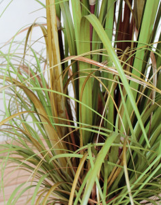 4568 860 a3 Трава искусственная пампас, горшечная, 120 см, зелено-коричневая H-andreas