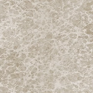 5569 Обои Zambaiti Parati Trussardi 2