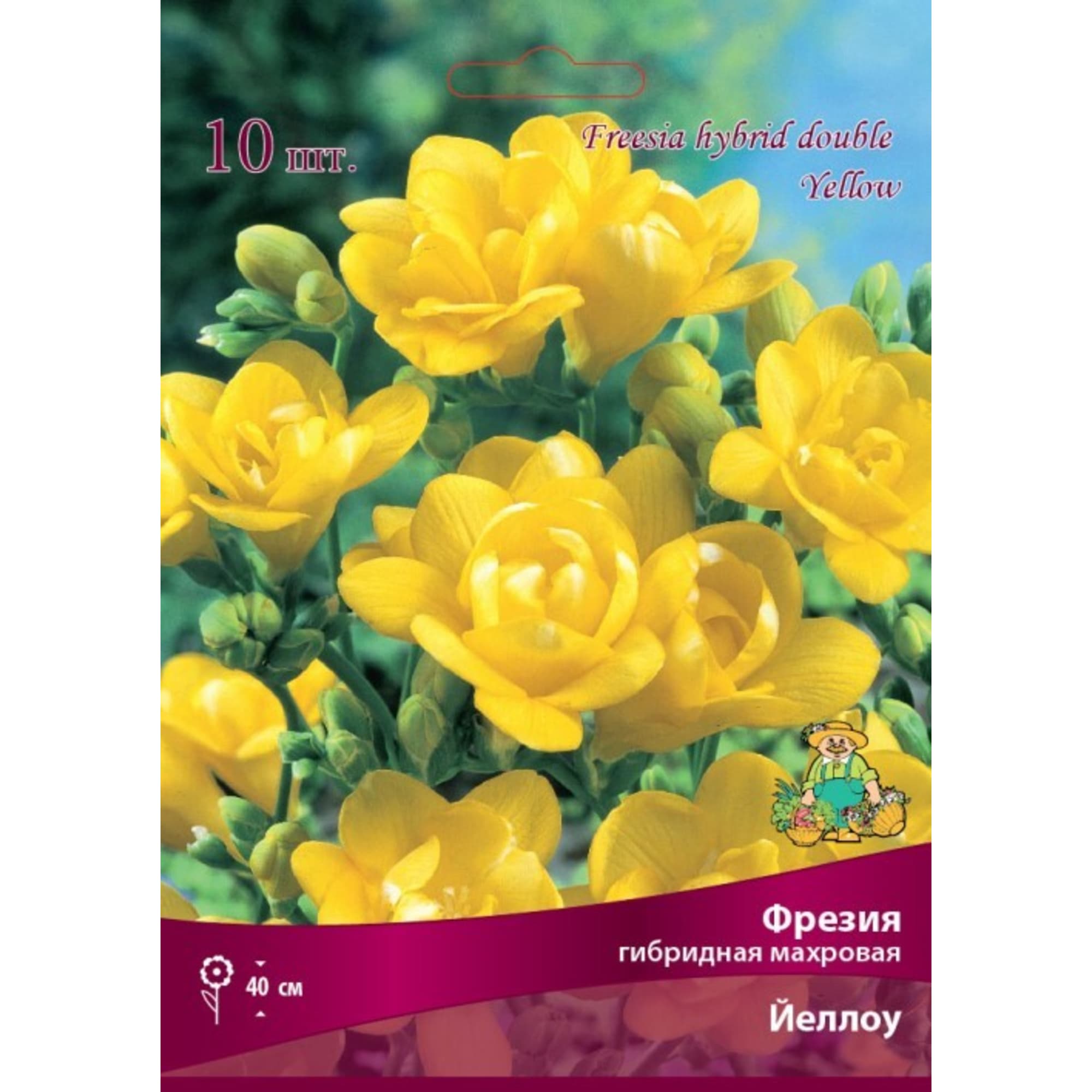 83597222 Фрезия гибридная махровая Йеллоу луковица 5/6 Santreyd 