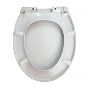 C557851WH сидение для унитаза с микролифтом AM.PM Bliss