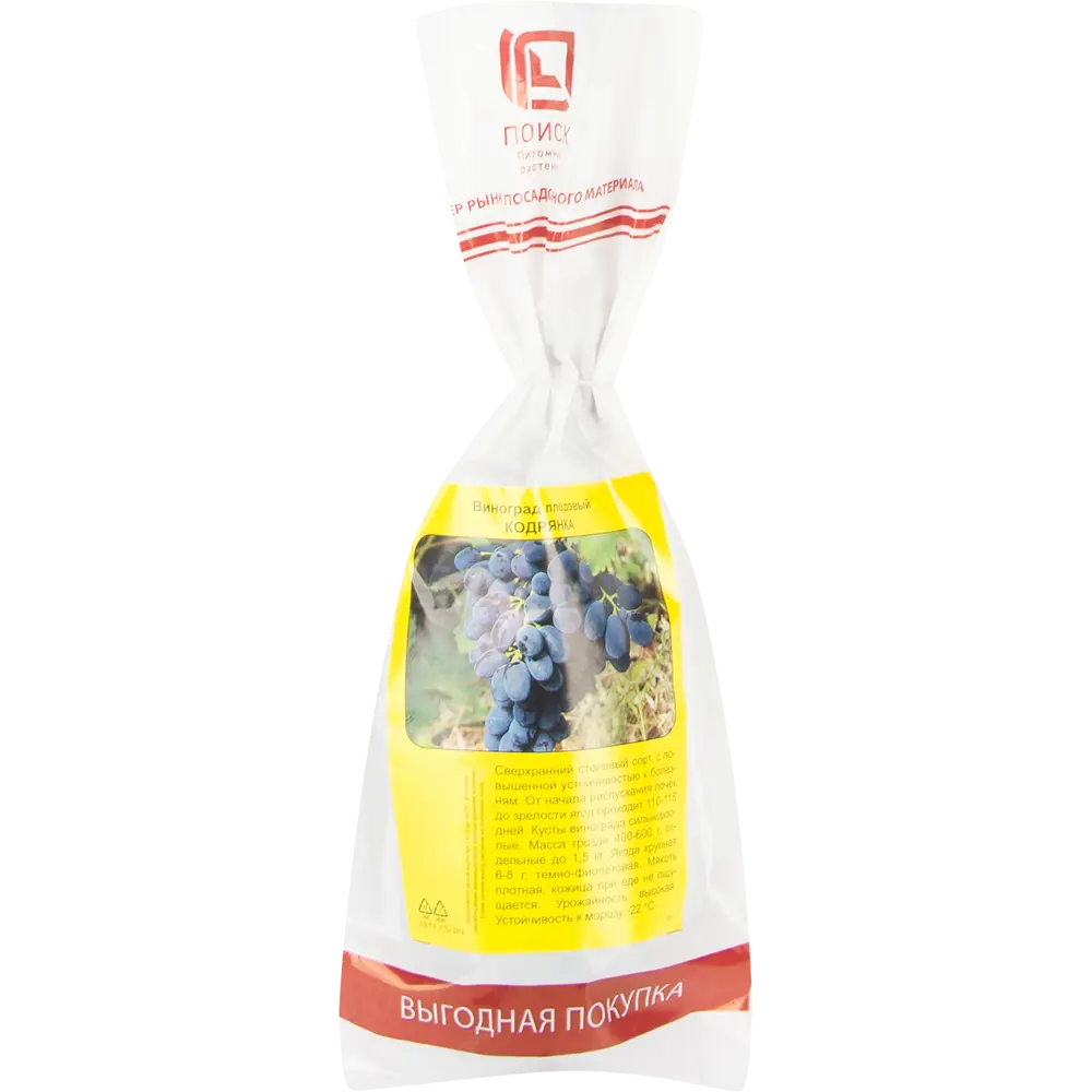 Виноград плодовый Кодрянка h40 см 83791403 STLM-2031622 Santreyd 