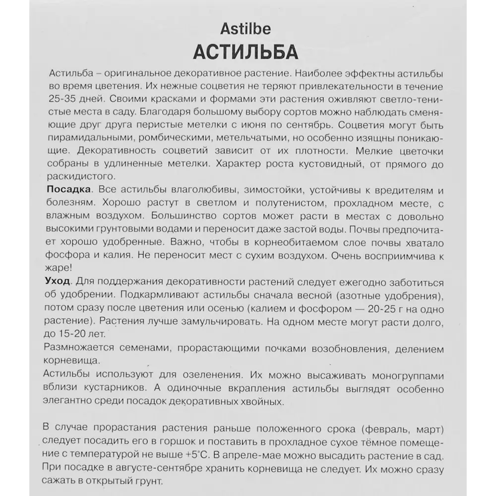 Корневище астильба Арендса Смайл эт ми красный 82693436 STLM-2052931 Santreyd  - Вид №2