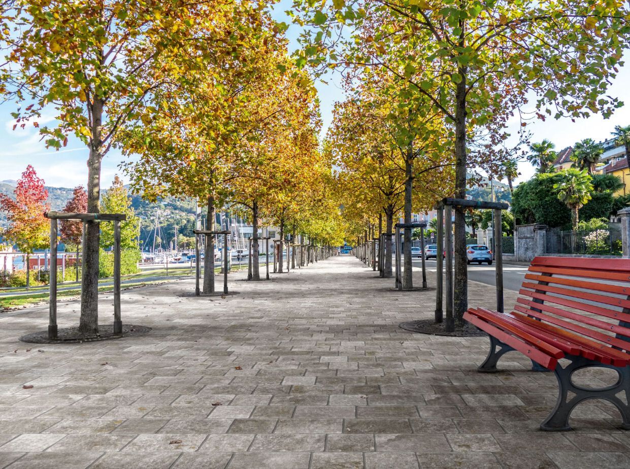 Напольная плитка из керамогранита Imola TRAIL ARCH-00020253 - Вид №8