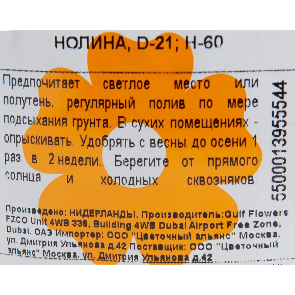 Нолина 21x60 см 82850366 STLM-2054036 Santreyd  - Вид №2