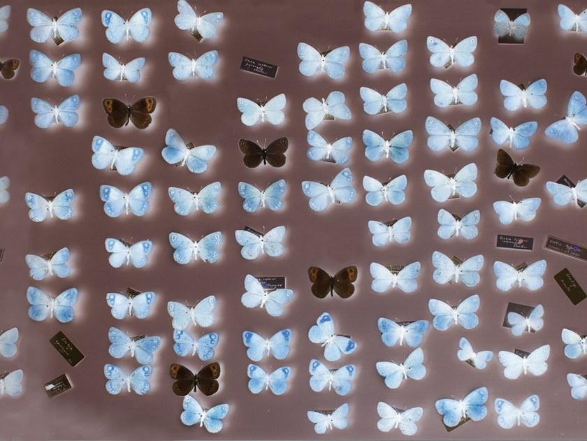 Wall&decò Обои на стену Contemporary wallpaper 2018 sun-id-1354968 - Вид №1