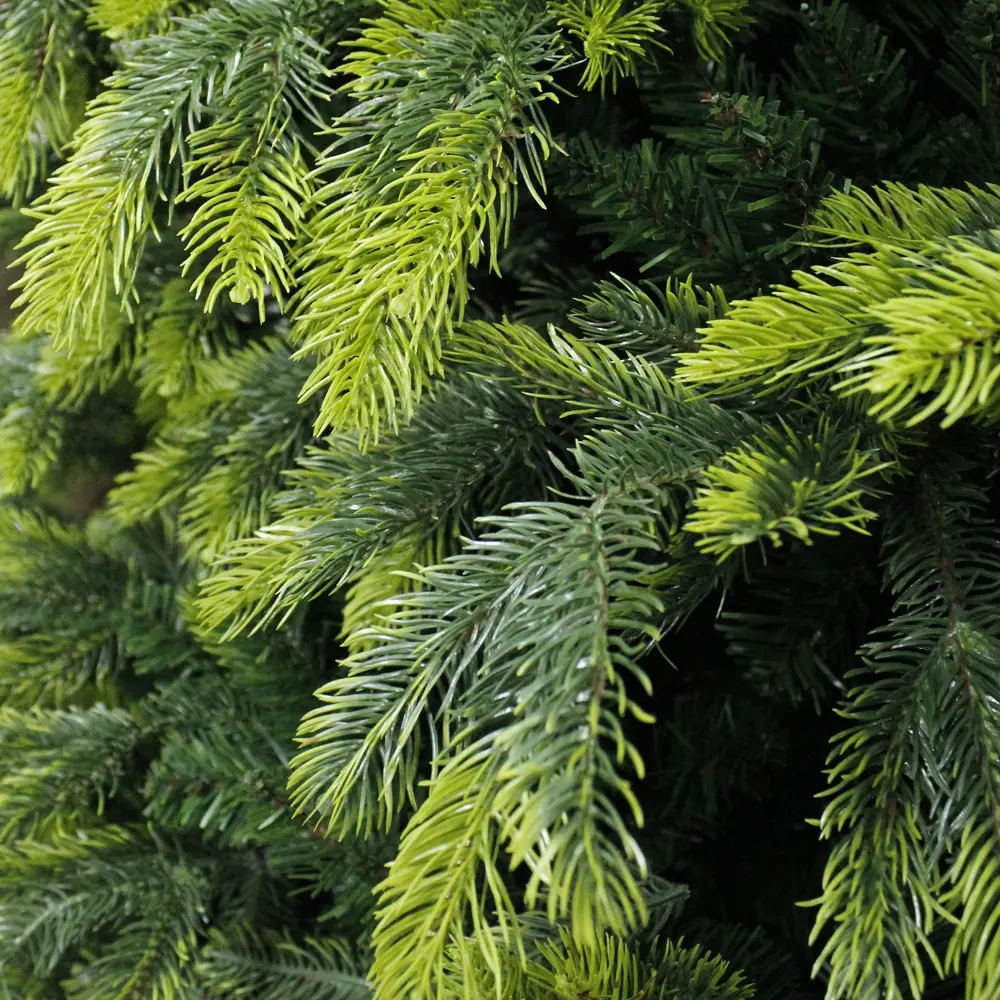 Ель новогодняя искусственная «Орион» 150 см BEATREES STLM-2052709 - Вид №1