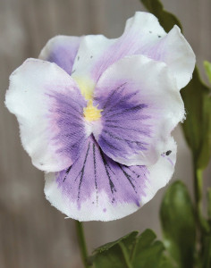 1070 702 a2 Анютины глазки шелковые, 30 см, бело-фиолетовые H-andreas