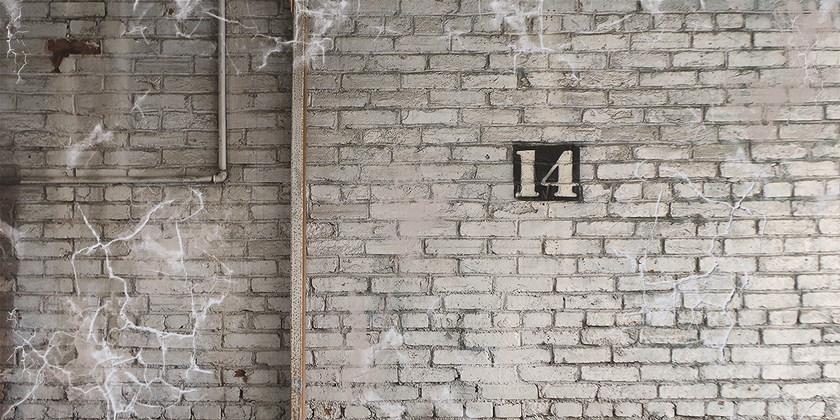 Creativespace Моющиеся обои с эффектом стены на флизелине Wallpaper 2016 sun-id-1398901 - Вид №2