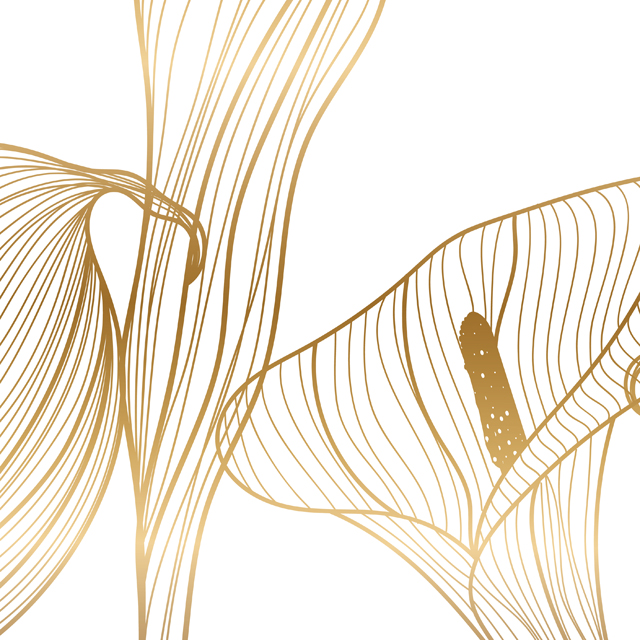 Стеновые панели - Голденкейс LIGRON LIST84 2321 - Вид №4