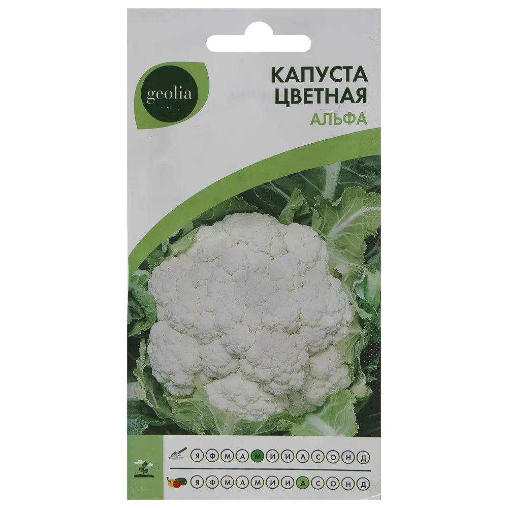Семена цветной капусты Geolia Альфа - ранний урожайный гибрид 17585447 STLM-0008378