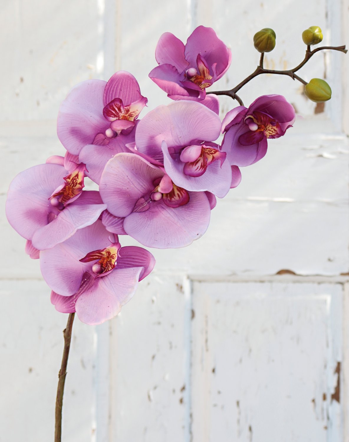2581 227 a3 Пластиковая орхидея Phalaenopsis, 103 см, real touch, светло-фиолетовый-темно-фиолетовый H-andreas 