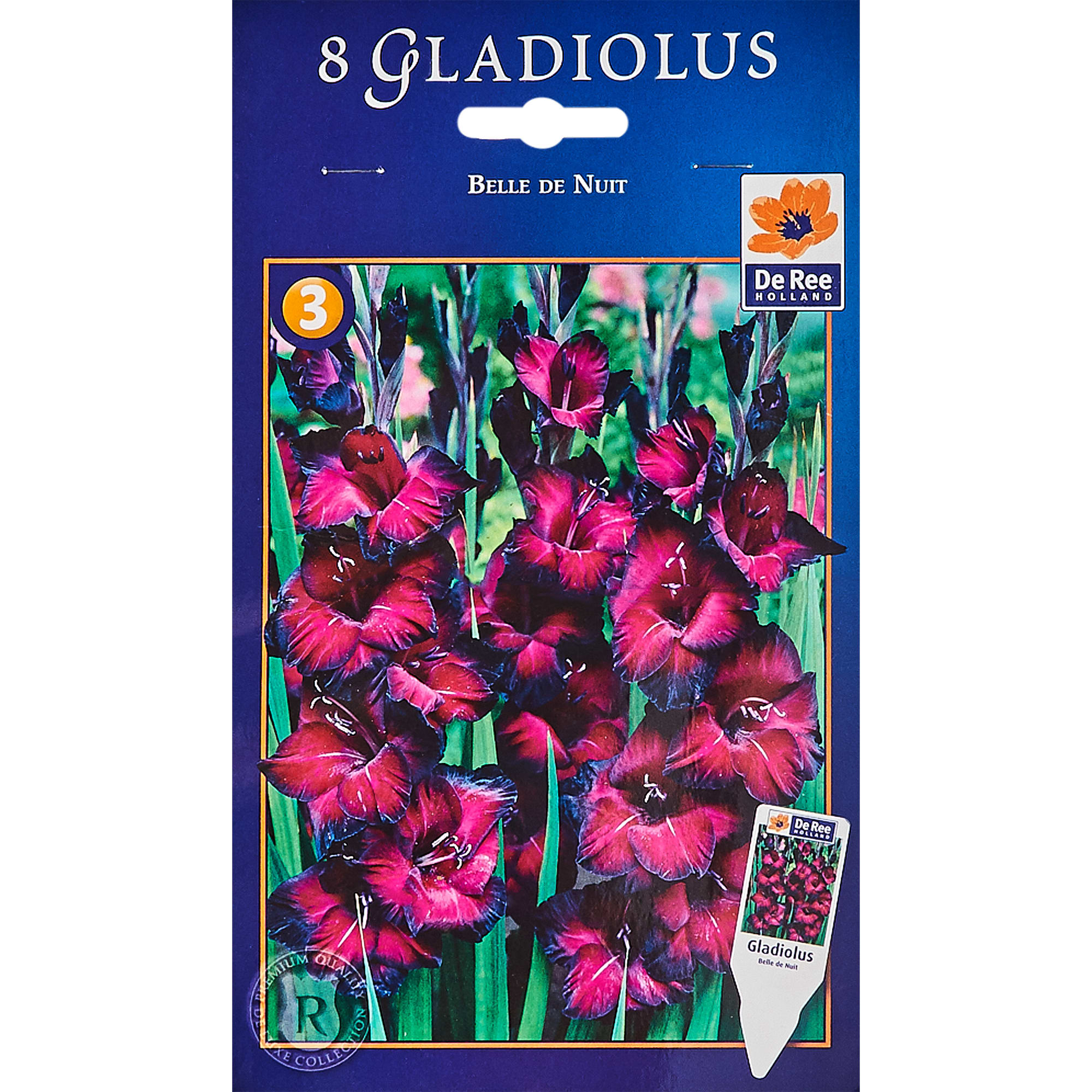 13063422 Луковицы Гладиолус Бель де Нуи 14 темно-бордовый 8 шт Santreyd 