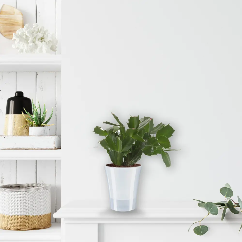 Santreyd Деко Твин — элегантный кашпо для комнатных растений 83406609 Арте-дея STLM-0041029 - Вид №3